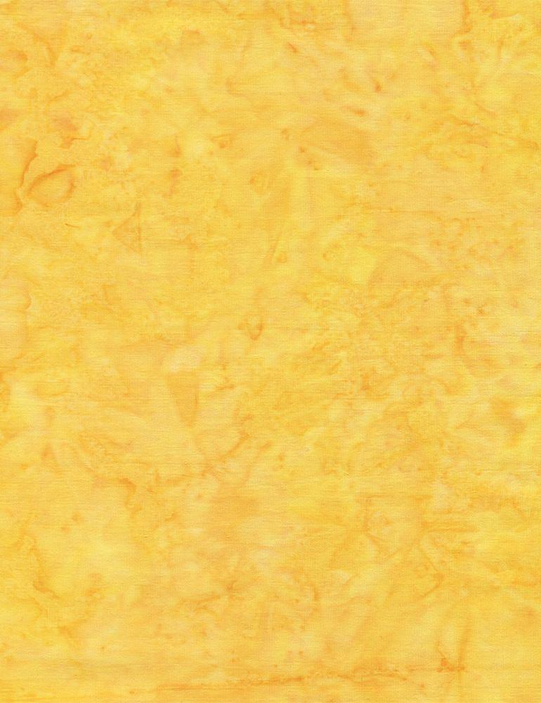 Java Blender Basic - Daffodil - Tonga-B7900 DAFFODIL