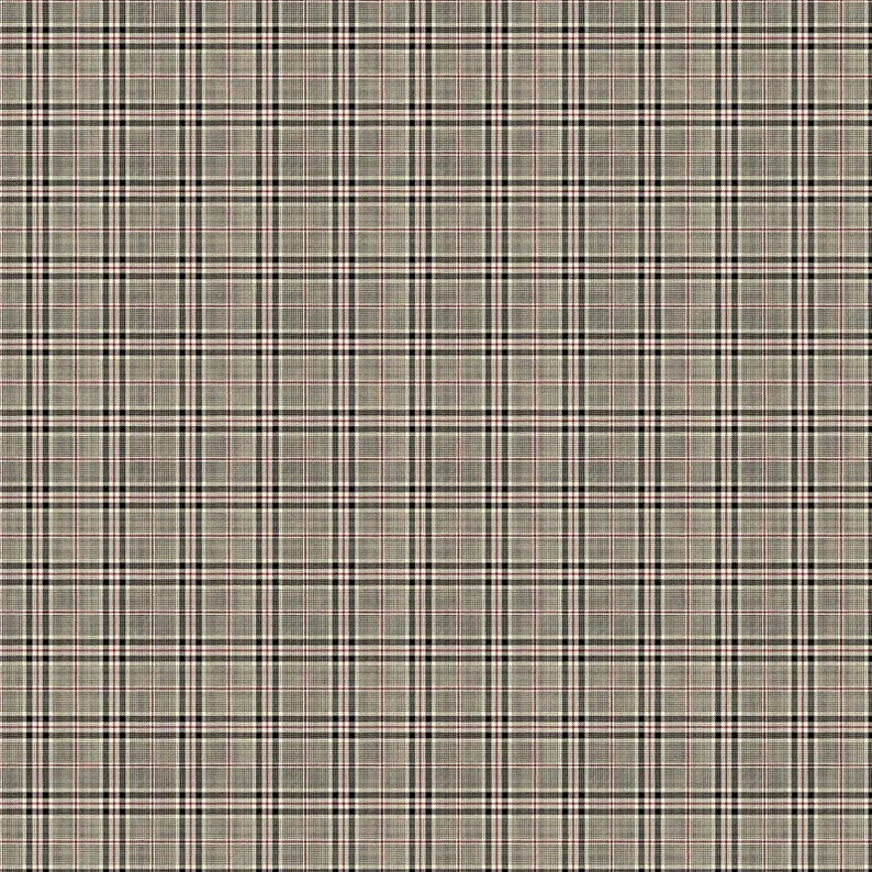 Cat Tales - Small Plaid - 24533-12 - Beige Multi