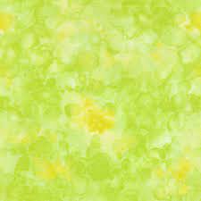 Solid-ish Citrus