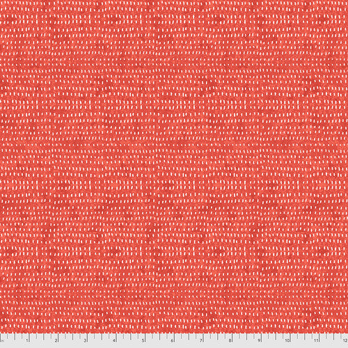 Seeds - Watermelon - PWCD012.XWATERMELON