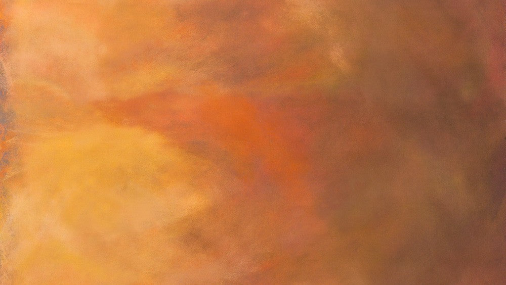 Sky - Chestnut - AJSD-21047-342