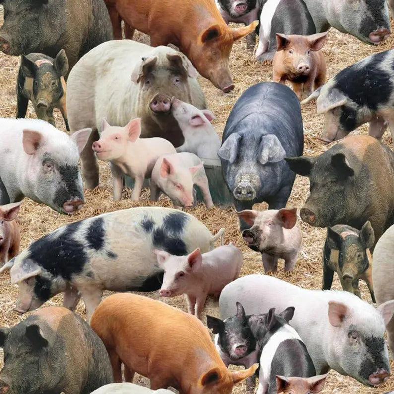 Farm Animals - Pigs - EST-431BROWN