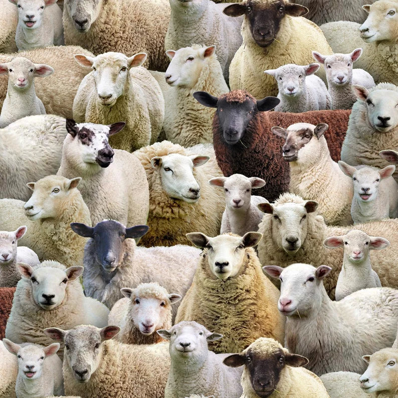 Farm Animals - Packed Sheep - EST-600MULTI