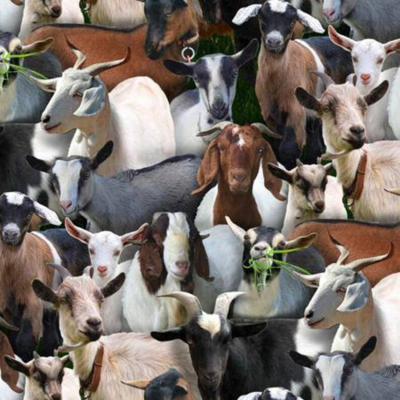 Farm Animals - Packed Goats - EST-434BLACK