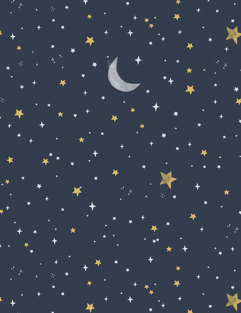 Koala Me Crazy - Night Sky Midnight